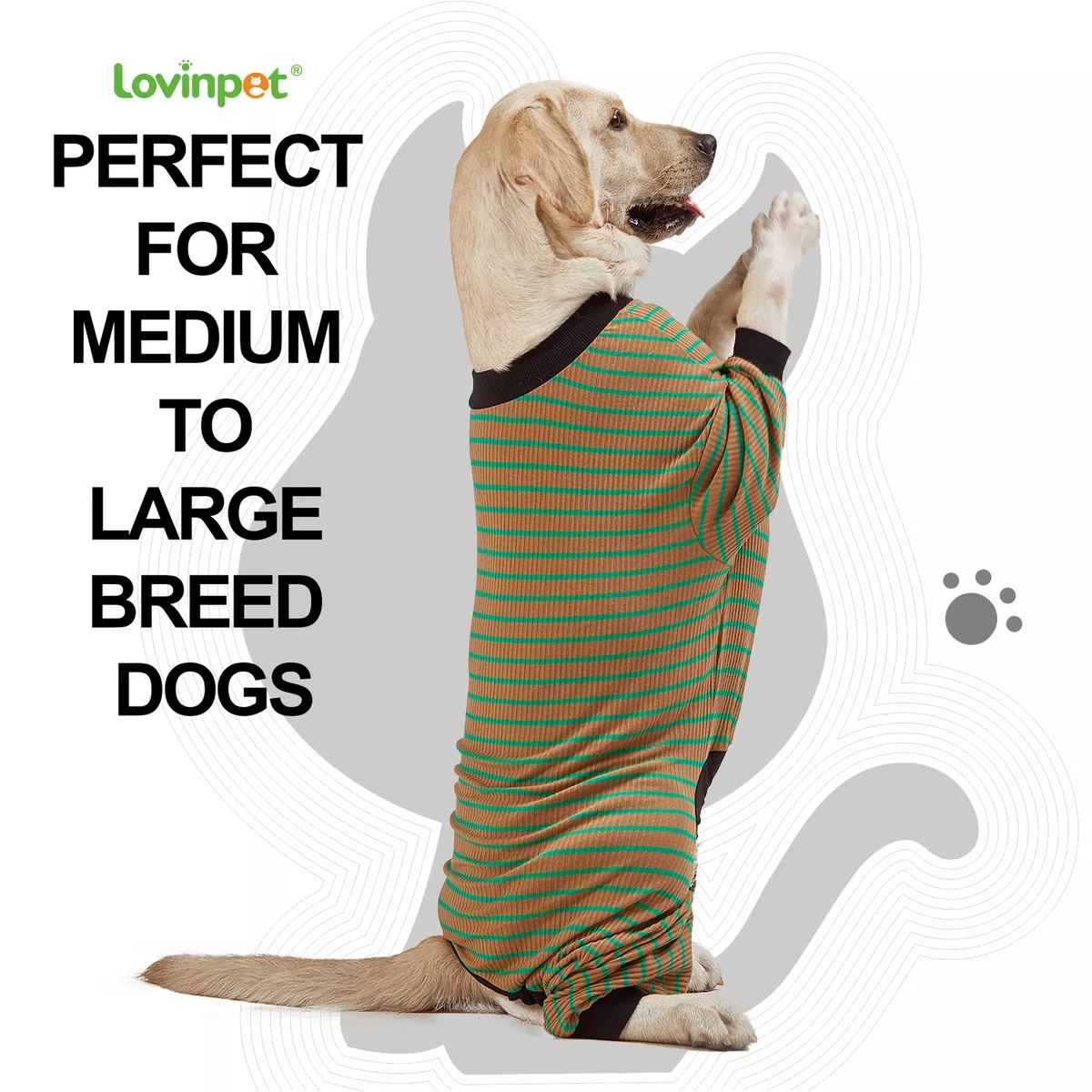 Large on sale dog apparel