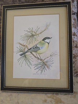 Schönes gerahmtes Bild der Kohlmeise von John Evans 10x12