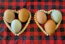 6 Assorted Rainbow Hatching Eggs .