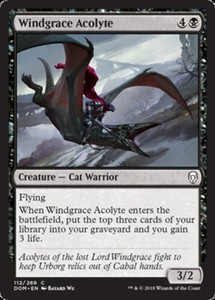 Windgrace Acolyte x4 - Dominaria - NM-Mint, English - Dominaria