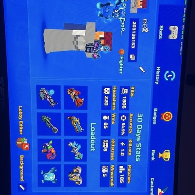 Pixel Gun 3D In-game Item Collection with High-Level Weapons and Custom Loadout