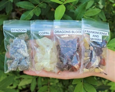 Incense Resin Sampler Set of 4, Copal Benzoin Dragons Blood Frankincense & Myrrh