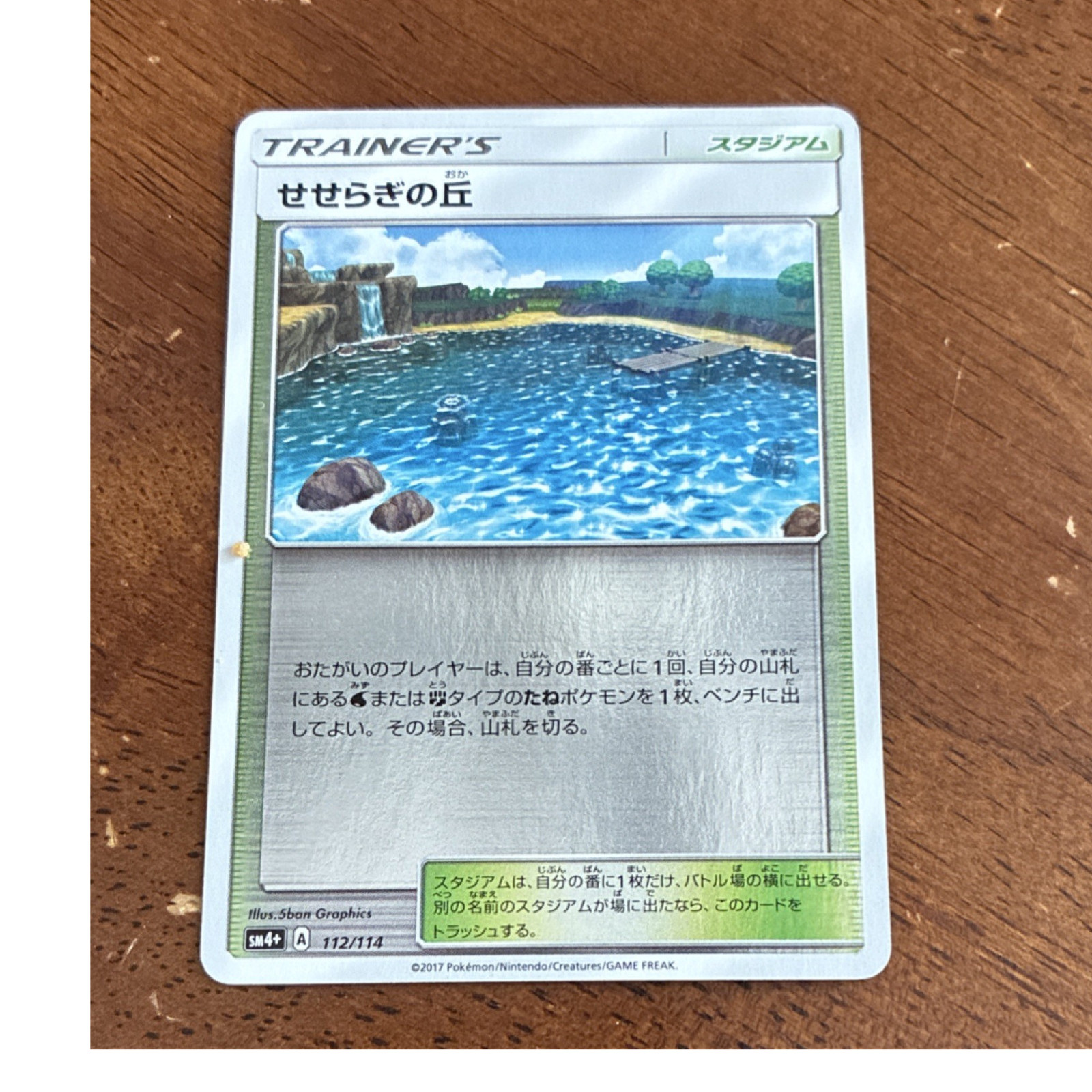 Pokémon TCG Brooklet Hill 112/114 SM4+ Trainer Stadium Regular Japanese 2017
