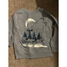 Garanimals Boys Wolf Moon Graphic Sweatshirt Grey Heather  3T f-55