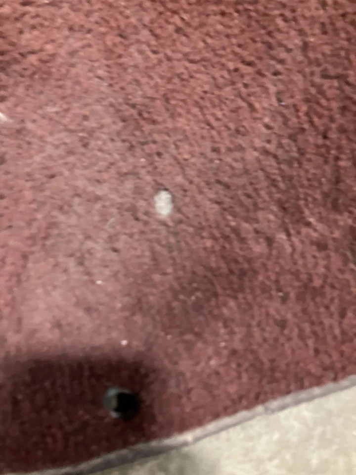 Nissan D21 Hardbody OEM Floor Mats Front  - Image 3 of 4