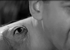 The Manster-PLUS-The Human Vapor (Eng. subs) sci-fi horror trash drive-in dvd-r