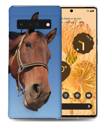 CASE COVER FOR GOOGLE PIXEL|MAJESTIC HORSE ANIMAL 15