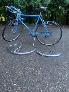 1973 schwinn continental