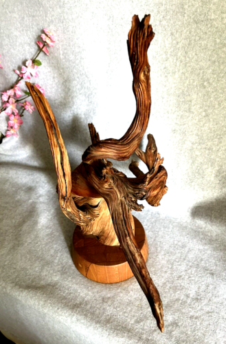 Natural Driftwood Wood Art Sculpture 20"H x 18"W - Picture 12 of 17