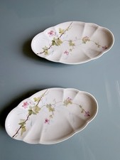 Coppia di Piatti Ovali Ravieri  Richard Ginori Dipinti a Mano Marchio Verde