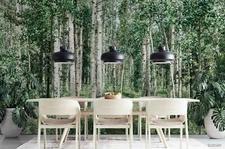 3D Forest Landscape Wallpaper Wall Mural Removable Self-adhesive Sticker8151