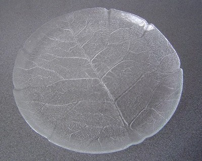 ARCOROC LUMINARC Kuchenplatte Tortenplatte Servierplatte ASPEN Teller D 32,5 cm