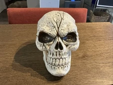 Skull Figurine Halloween Decor Rustic Look