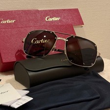 Cartier Santos de Sunglasses Titanium Sier z4 0422