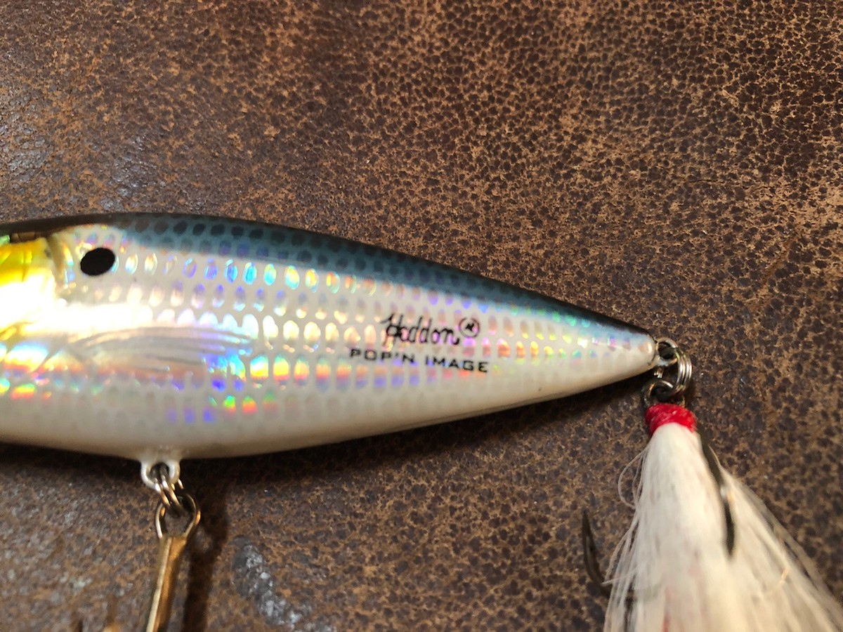 ヘドン pop's dunk Amazon.com : Heddon Lucky 13 Topwater Fishing Lure with