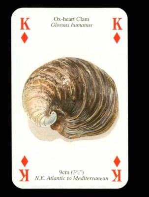 1 x Spielkarte Ochsenherz Muschelschale - King of Diamonds Q85