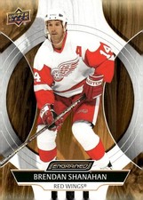 2024-25 Upper Deck Engrained Icons #71 Brendan Shanahan