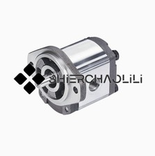 NEW HONOR Gear Pump 2GG1B14R