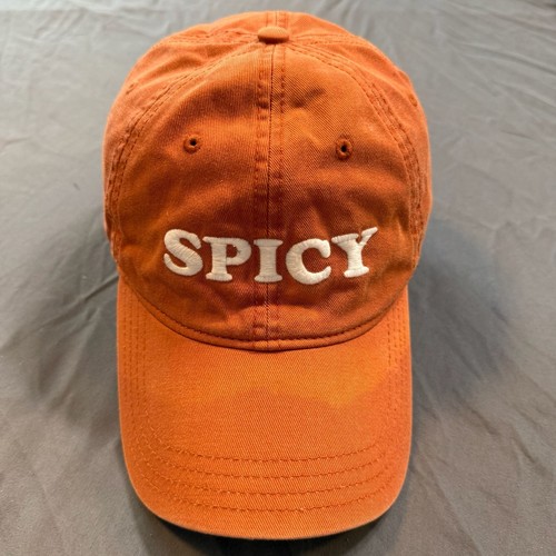 Aerie Spicy Embroidered Orange Dad Hat Adjustable Cotton Baseball Cap