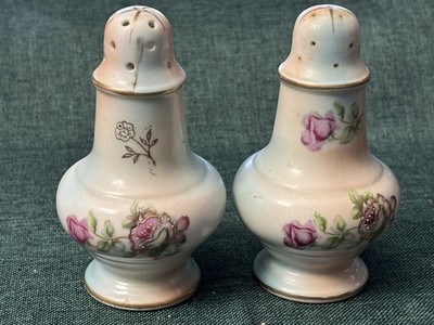 Vintage Floral Hand Painted Porcelain Salt & Pepper Shaker Pair Gold Accents 4.5