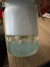 Decorative Handmade Candle, Glass Jar Ocean with Sand, Water, Shells  Starfish