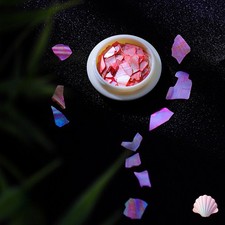 DIY Natural Shell Pieces Accessories Handmade Jewellery Making Material Fragment