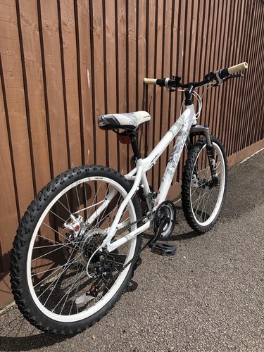 apollo craze mountain bike