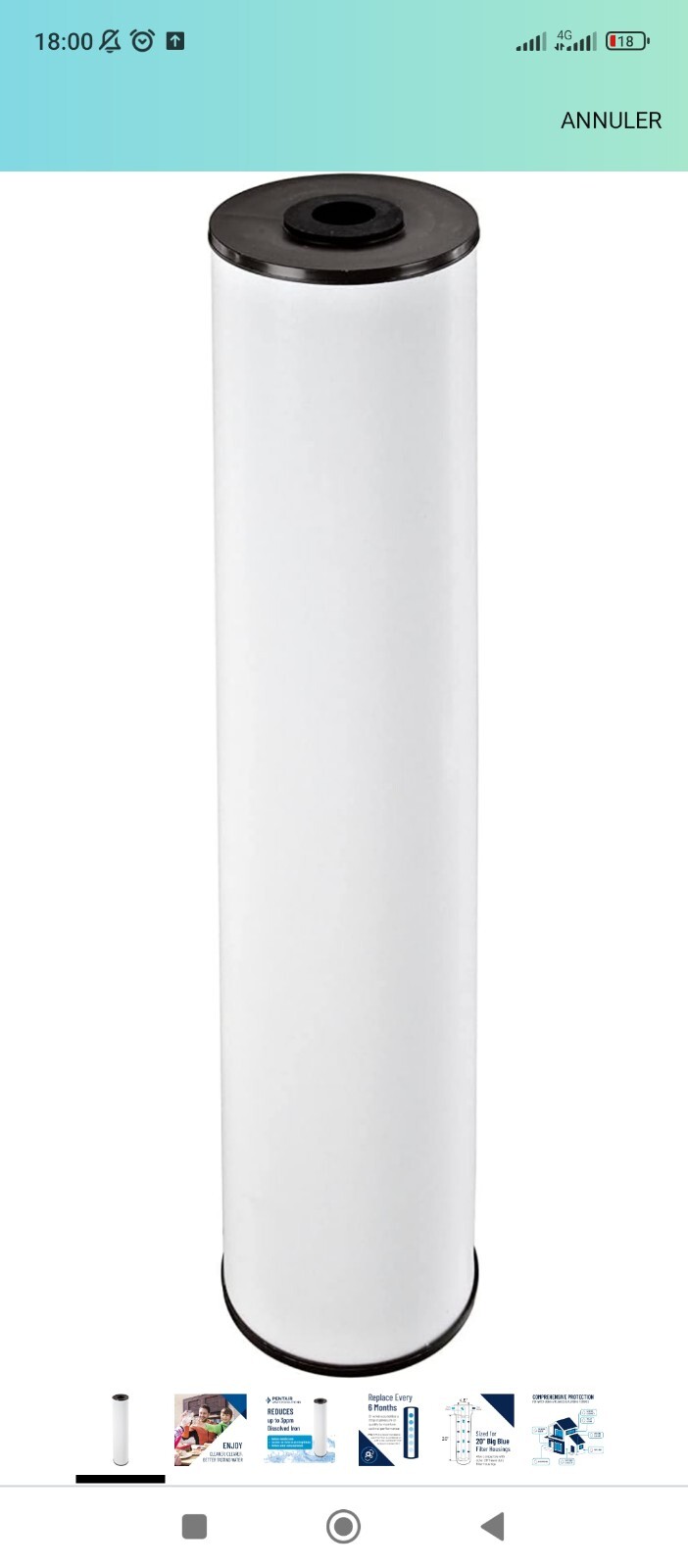 Cartouche deferiseur MAZ 10 pouces pour la filtration du fer dans l eau de pluie