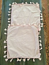 MIULEE Pack of 2 Velvet Soft Solid Decorative Throw Pillow Cover with Tassels Fr