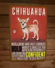 Chihuahua Intelligent Fast LEarned Bold Confident 8x12 Metal Wall Sign