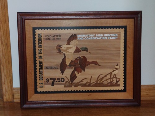 INLAY HUDSON RIVER - SELLO DE PATO ÁNADE REAL - MARQUETERÍA DE MADERA 24 X 19 - #5 - Imagen 3 de 13