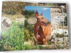 2 Euro Malta 2026 BU Coin Card Pharaoh Dog