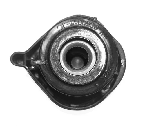 Gourmet Steam Release Valve