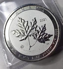 2020 CANADA 2 OZ .9999 SILVER TWIN MAPLE LEAF COIN - $10 DOLLAR