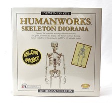 30" Human Skeleton Diorama Skullduggery Cast  Paint Kit New Sealed