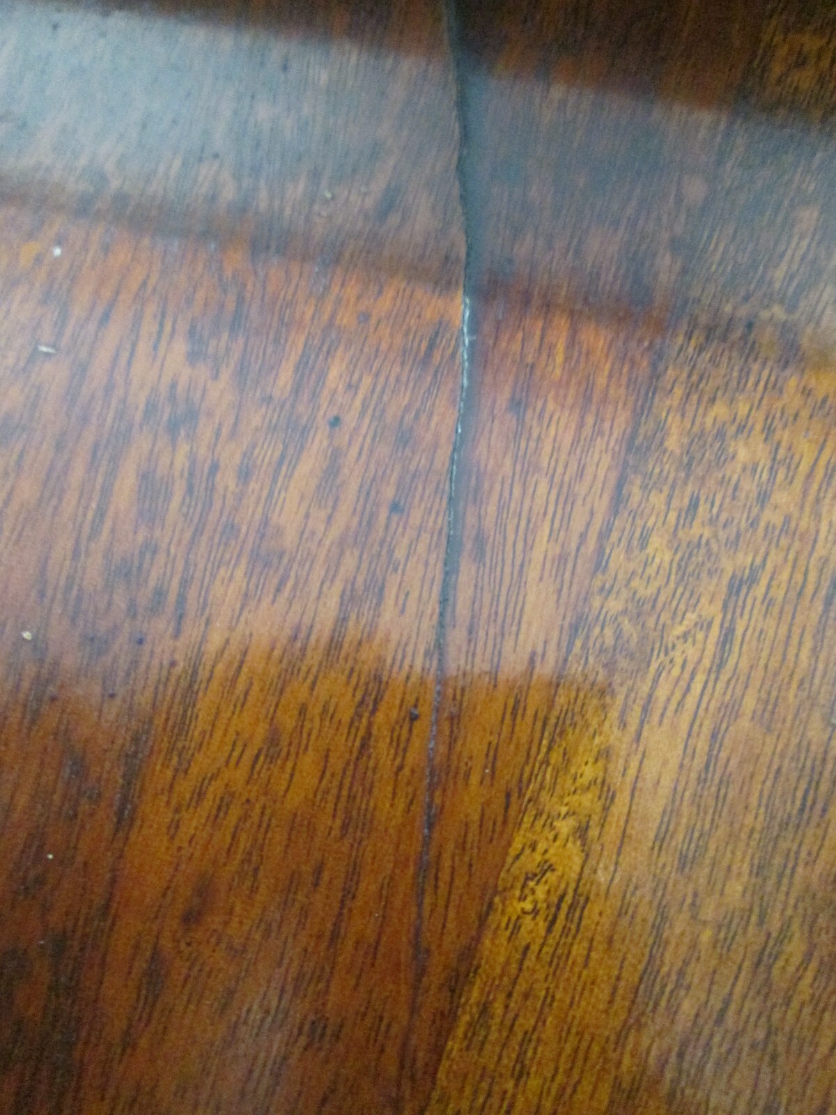 Picture 24 of 24