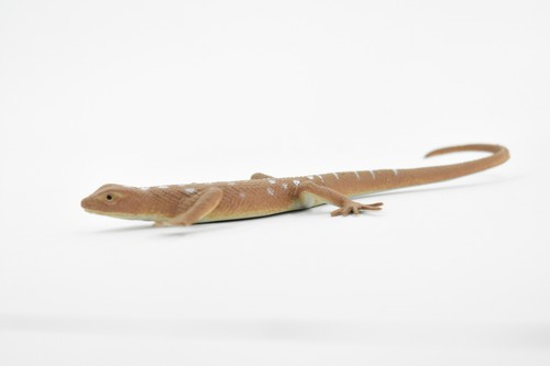Desert Iguana, Lizard, Toy, Realistic, Figurine, Model   5" F6101 B381 - Picture 4 of 8