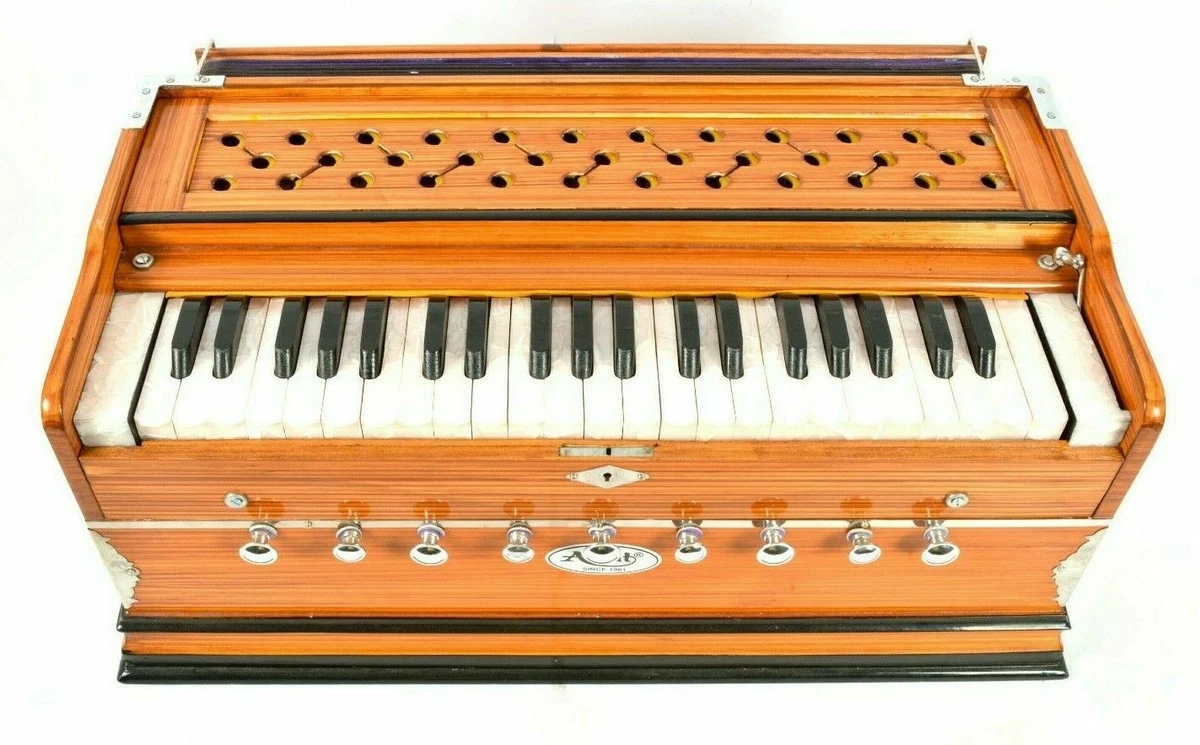 Sangeet peti price deals
