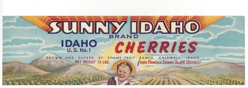 Original SUNNY IDAHO cherry crate label Caldwell Idaho smiling boy