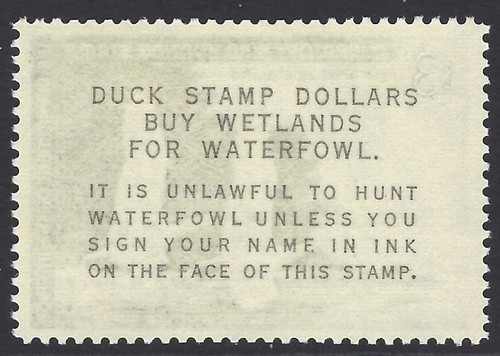 US Scott # RW33 - Mint NH - PSE Graded XF 90J - JUMBO! (P-16) - Picture 2 of 3