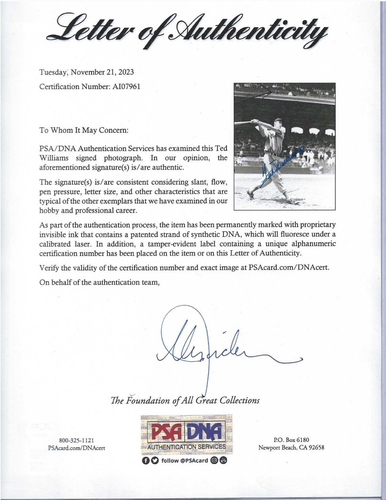 Ted Williams Autographed Baseball Brace 8x10 B&W Photo PSA Letter Boston Red Sox - Picture 2 of 2