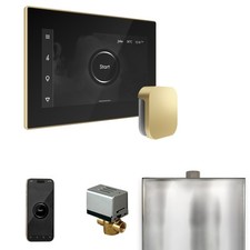 Mr Steam XButler Steam Ctrl-Pkg w/iSteamX Ctrl-Steamhead-Blk SatinBrass