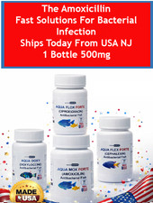 AMOXICILLIN AQUA 500 Fast Solutions for Bacte...