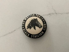Equestrian Horse VINTAGE THE WALTER FARLEY BLACK STALLION CLUB Pinback Pin
