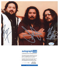 'Los Lonely Boys' Full Band Signed 8x10 Photo JoJo, Ringo & Henry 'Heaven' ACOA