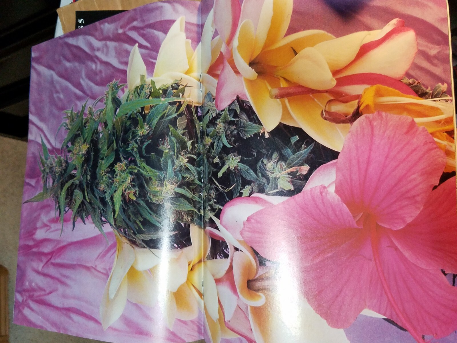 Picture 3 of 3