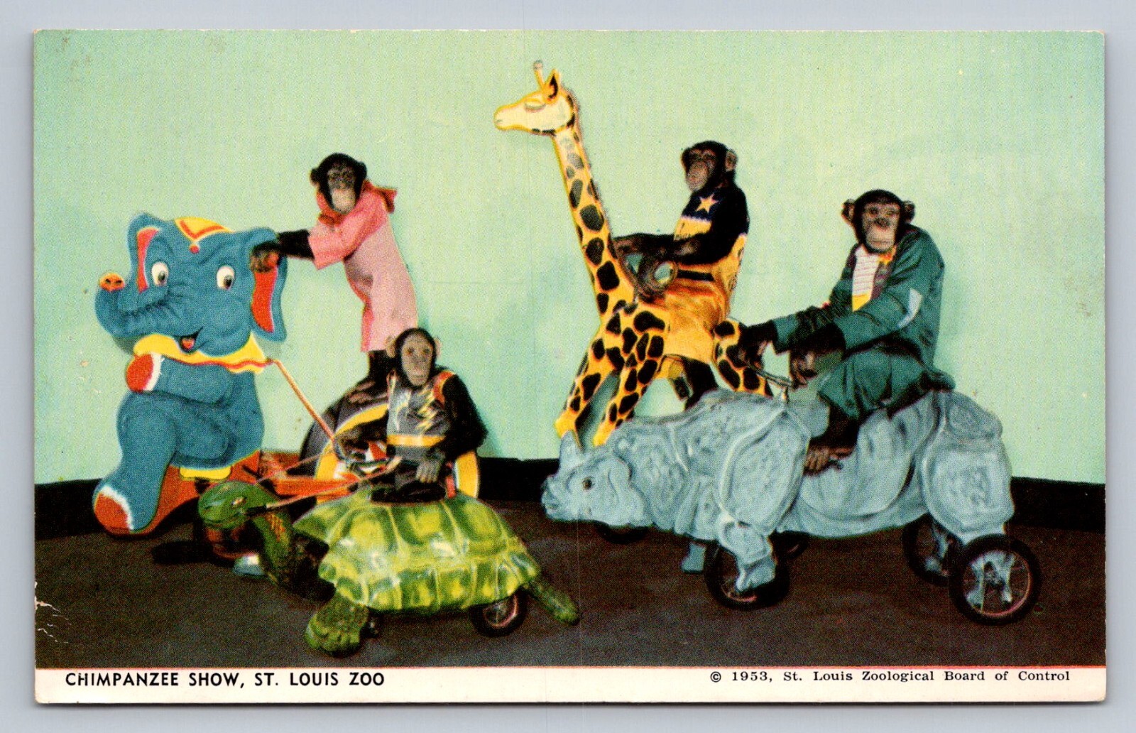 Postcard Missouri St. Louis Zoo Chimpanzee Show Tricycle Age
