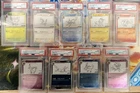 Pokémon PSA 10 Yu Nagaba Eeveelutions Japanese Exclusive Set