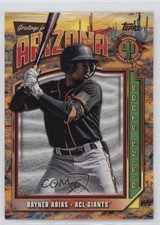 2024 Topps Pro Debut Complex League Rising Stars Rayner Arias #CLRS-15 1c9a