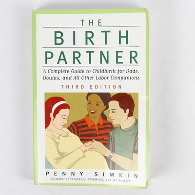The Birth Partner Von Penny Simkin Komplett Guide Für Arbeit Gefährten 2008 Pb